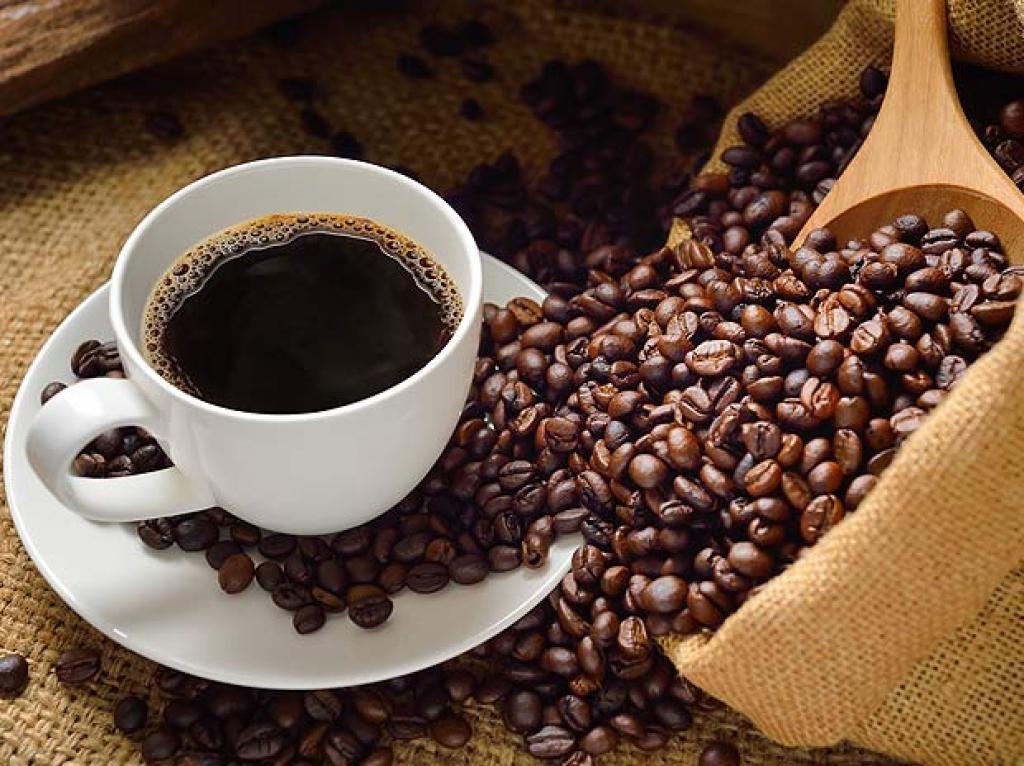 [HCM]Cà phê bột Robusta nguyên chất đặc biệt 500gr - Casa Coffee