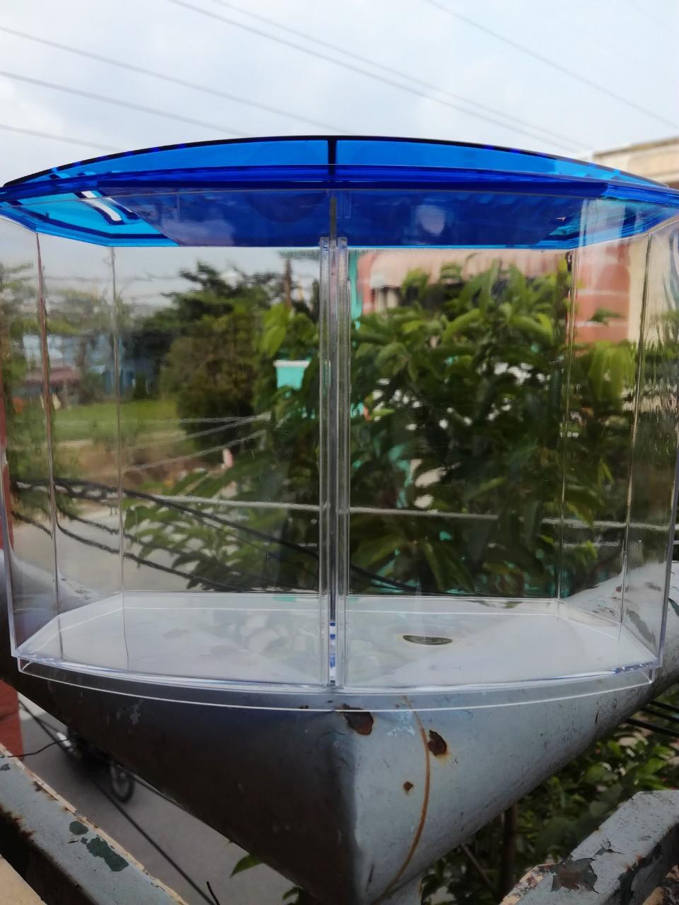 Hồ cá betta 2 ngăn bằng nhựa