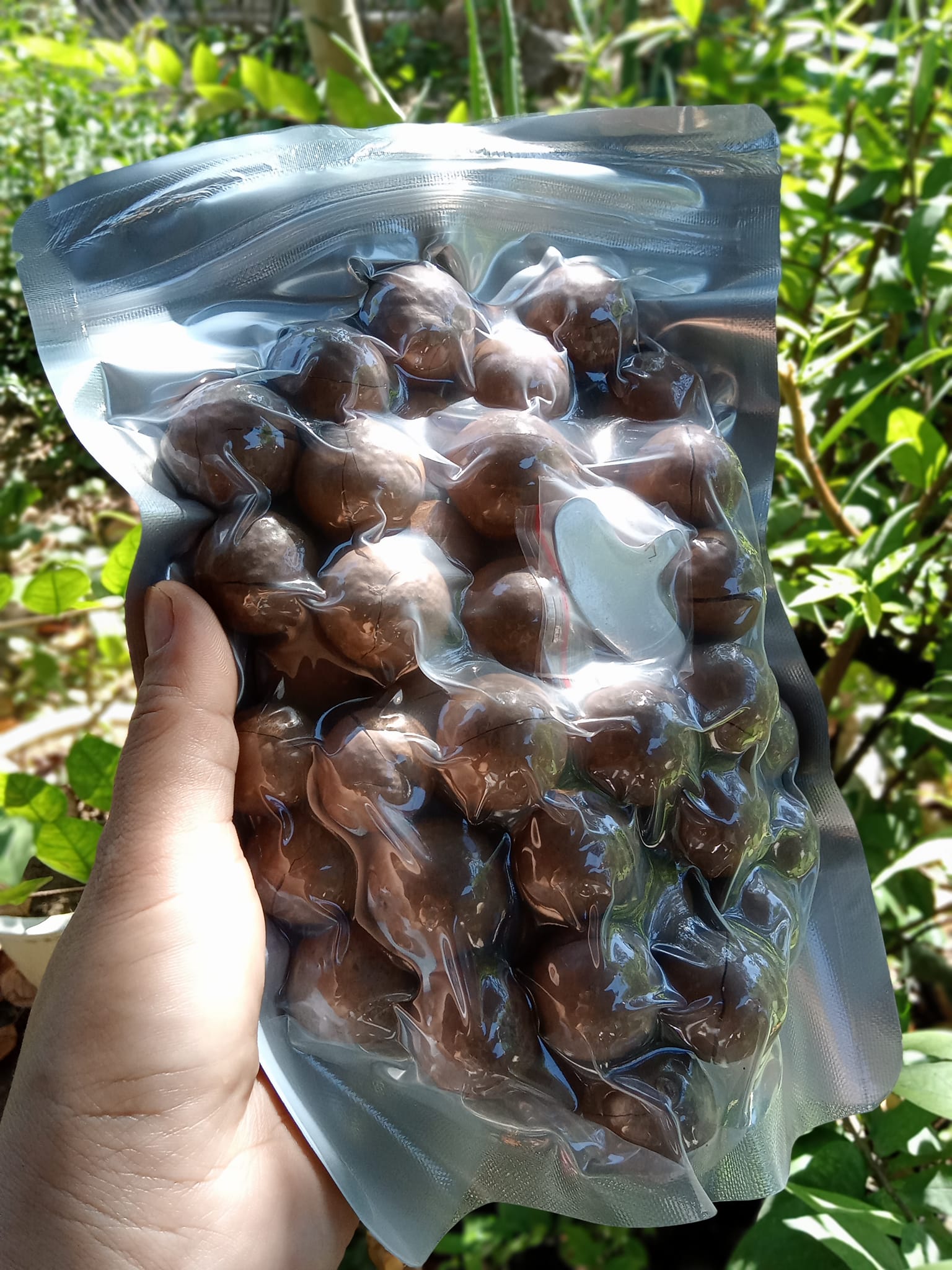 500gr Hạt Macca Daklak kèm đồ khui
