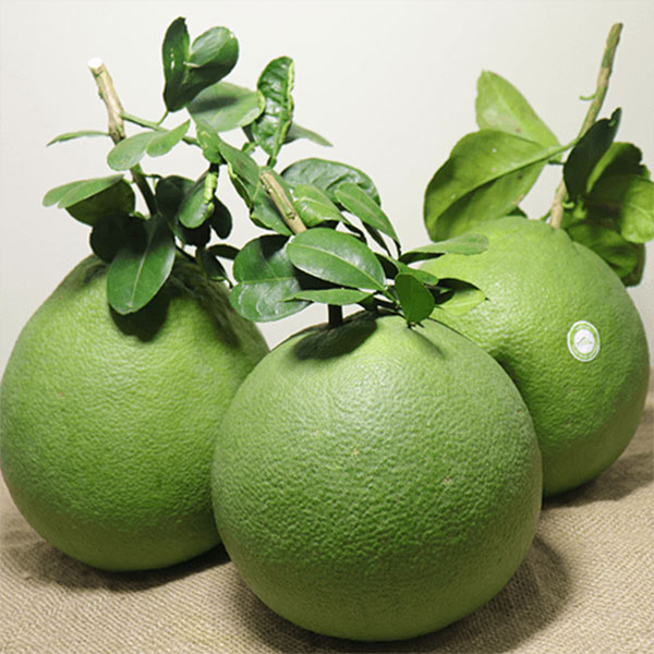 Bưởi da xanh miền nam