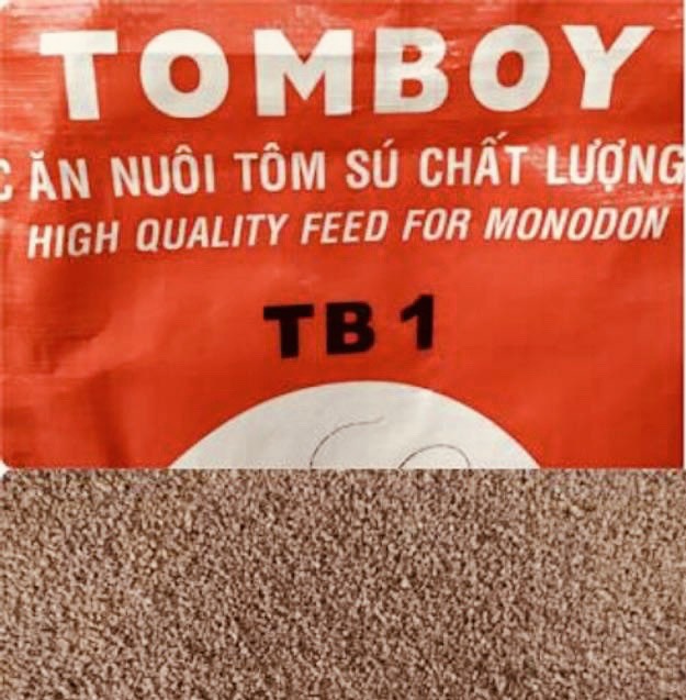 Trống Betta Full Red Halfmoon + Cám Tomboy TB1 10g