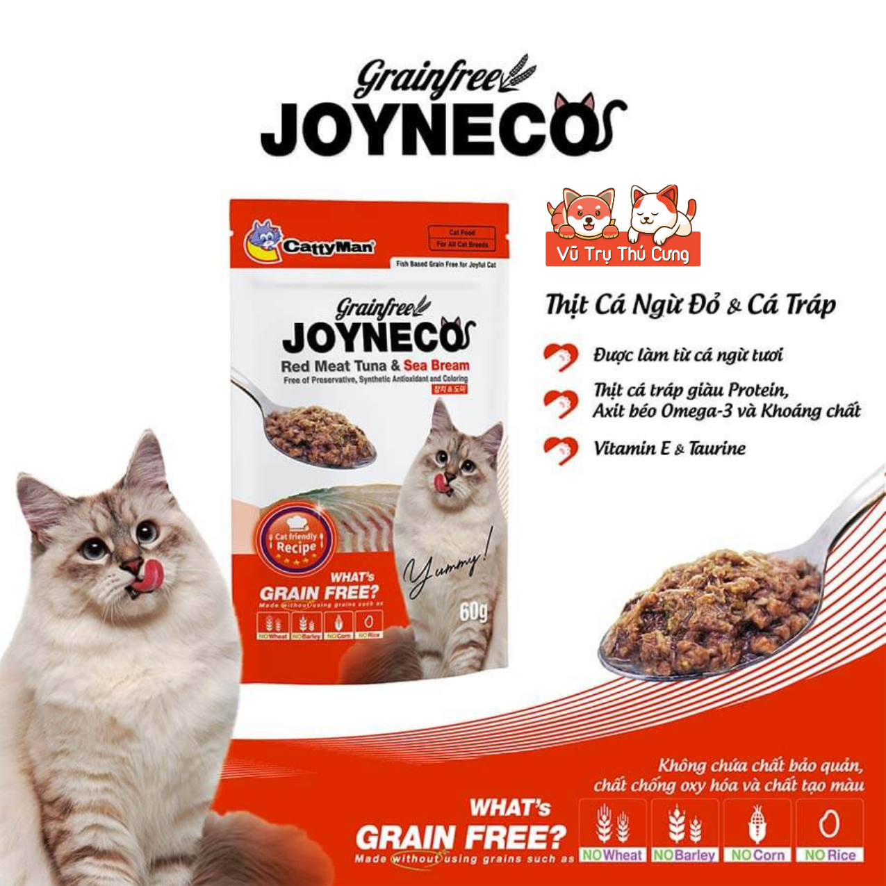 Pate Catty Man Joyneco cho Mèo gói 60g