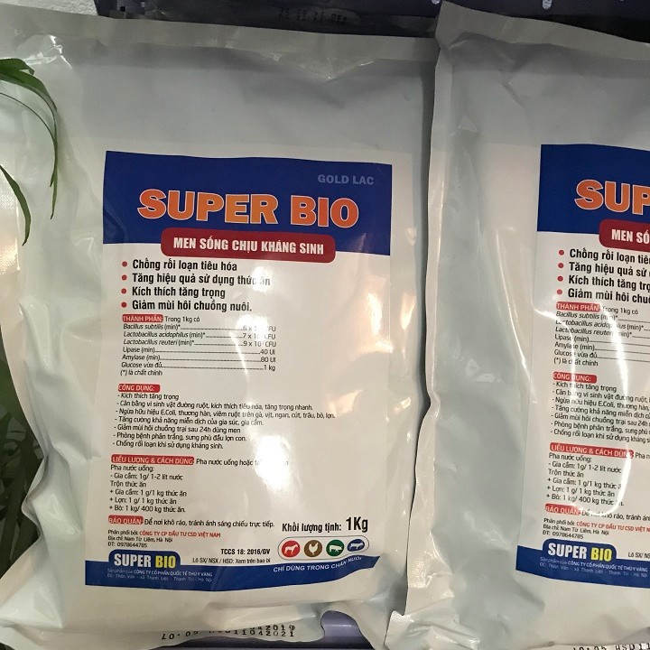 Men tiêu hóa chịu kháng sinh 1kg.