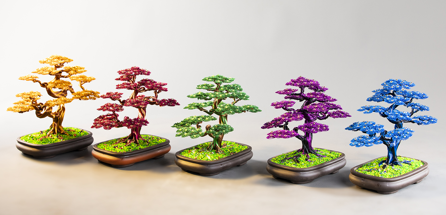 Cây tài lộc bonsai phong thủy (5 màu phong thủy)