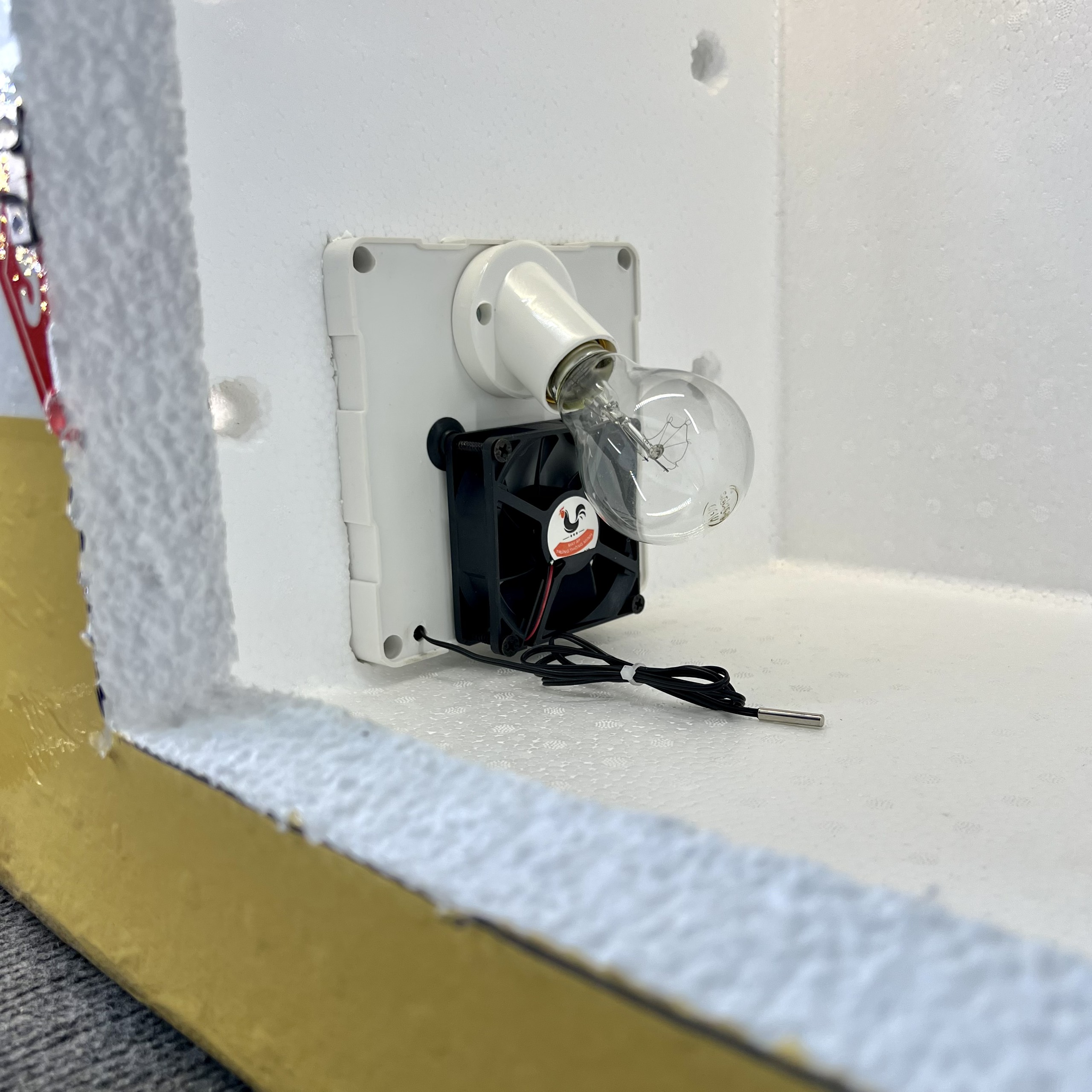 MÁY ẤP TRỨNG THÔNG MINH MINI