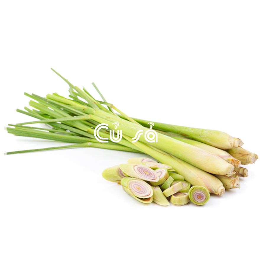 Dược liệu CỦ SẢ khô sạch đóng gói 500gram