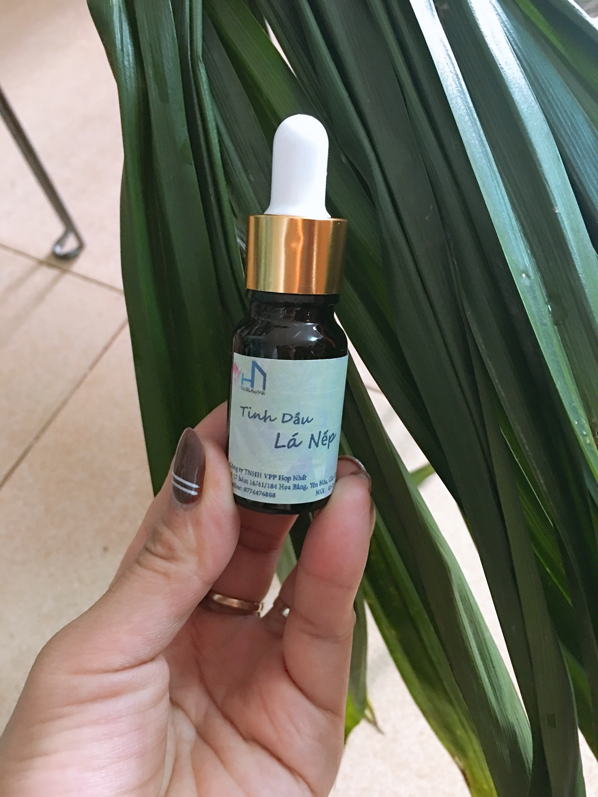Tinh dầu lá nếp thơm lọ 10ml