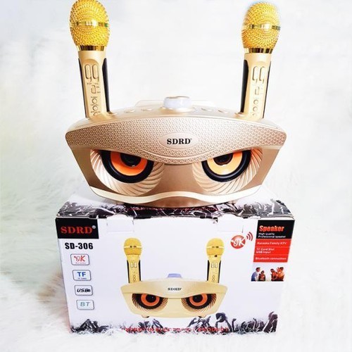 Loa Bluetooth Karaoke SDRD SD-306 - SD-306 Hát Karaoke Không Dây 2 Micro