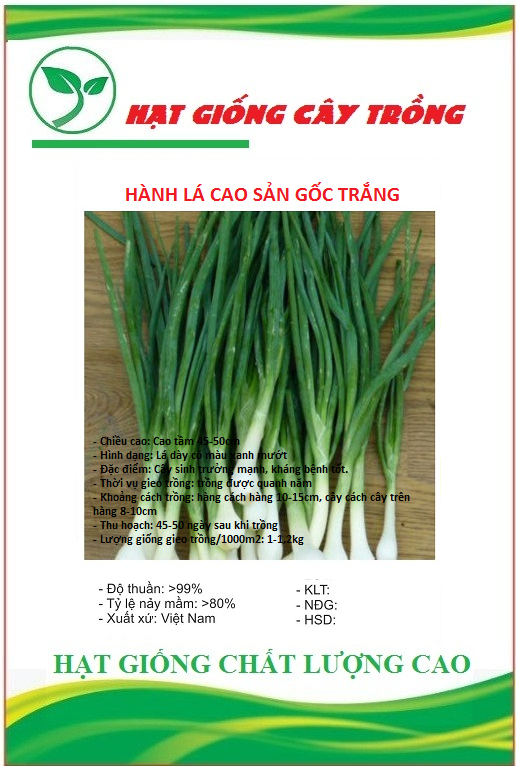 Hạt giống hành lá cao sản gốc trắng CT127 - Gói 2gram