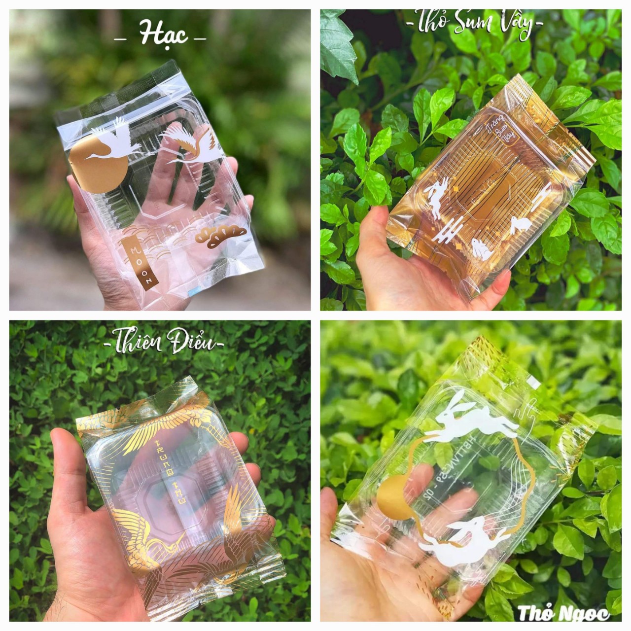 SET100 Khay/ Túi Hàn Trung Thu 200-250g ( khay, túi bán riêng)