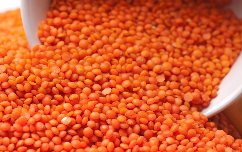 Dhaal - masoor daal - orange dhal - masoor daal - split