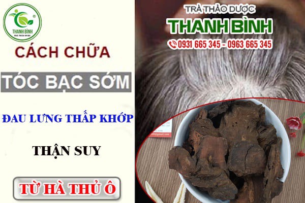 Cây hà thủ ô đỏ khô 1kg hàng xịn - thảo dược thanh bình