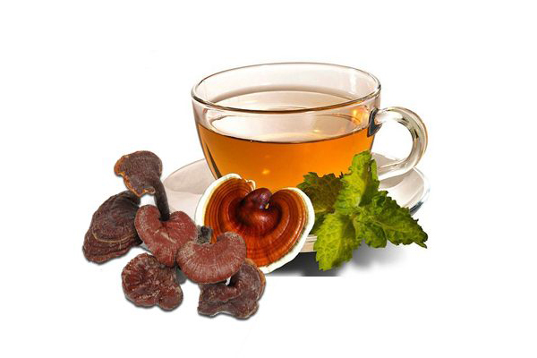 Nấm Lim Xanh khô Tự Nhiên - 100g