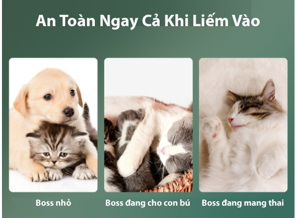 SỮA TẮM KHÔ DÀNH CHO CHÓ MÈO