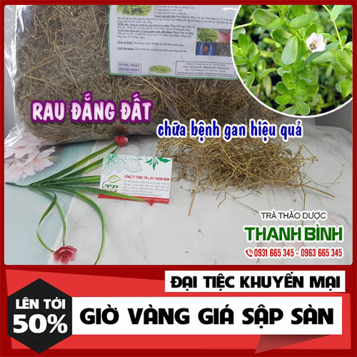 Cây rau đắng khô 1kg hàng loại 1 - đông y thanh bình