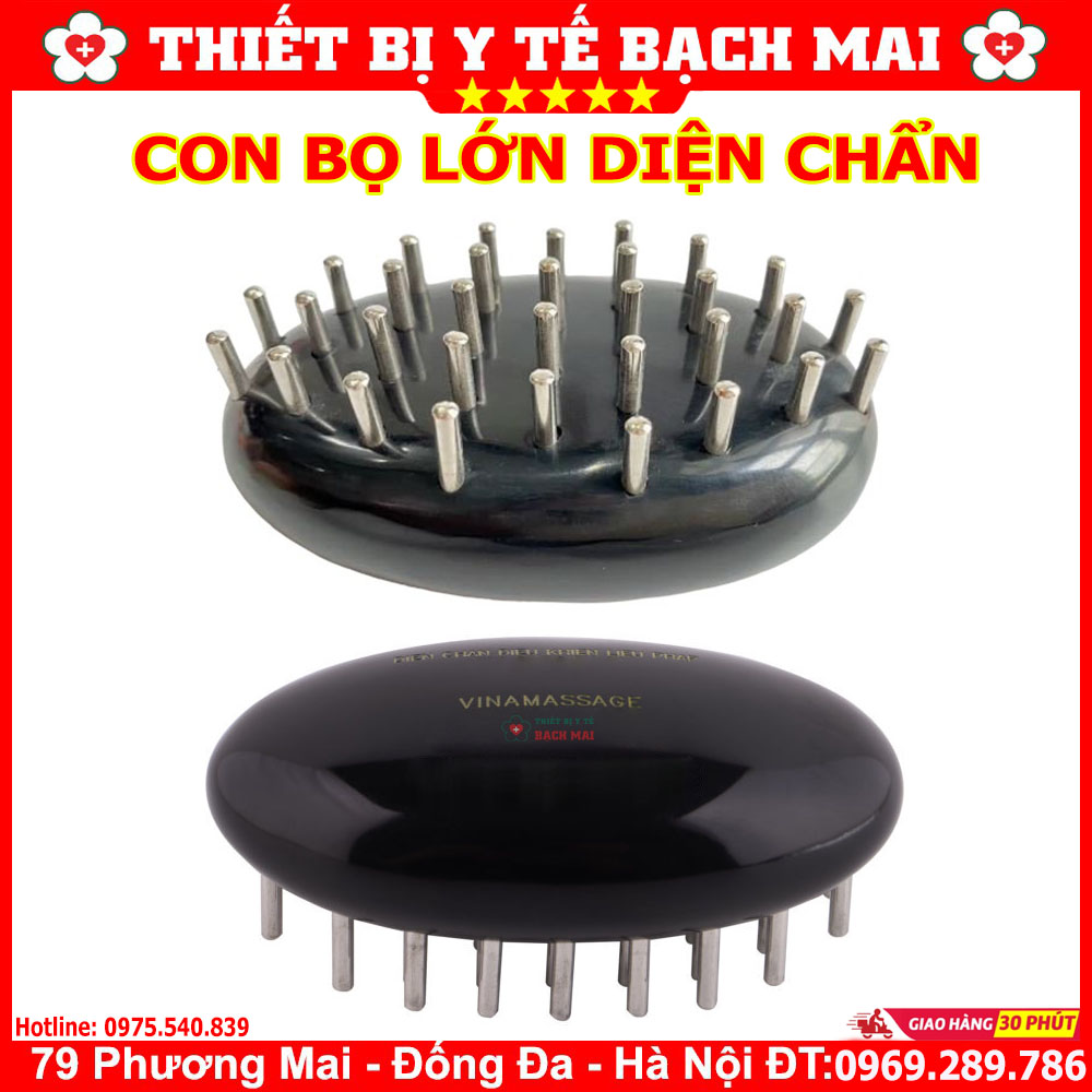 Con Bọ Lớn Diện Chẩn