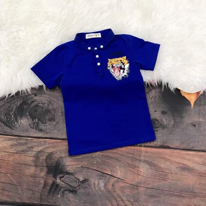 combo 2 áo thun cotton co giãn 4 chiều cho bé từ 10-25 kg