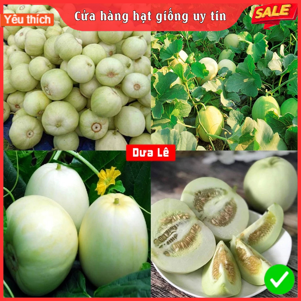 Hạt giống dưa lê bạch tuyết siêu trái-gói 10 hạt