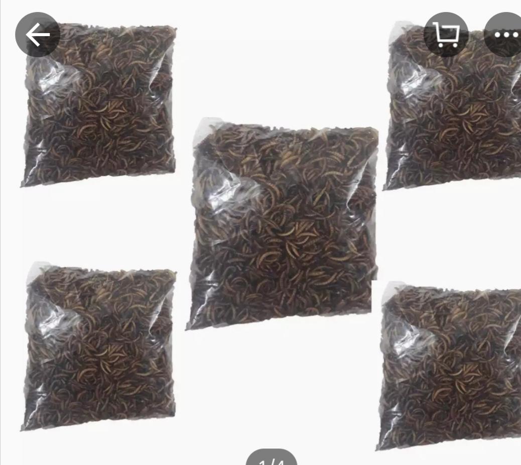 [HCM]Combo 5 bịch Sâu Khô Cho Chim Ăn 20g