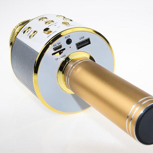 [HCM]Mic karaoke - Mic karaoke - Mic karaoke 858