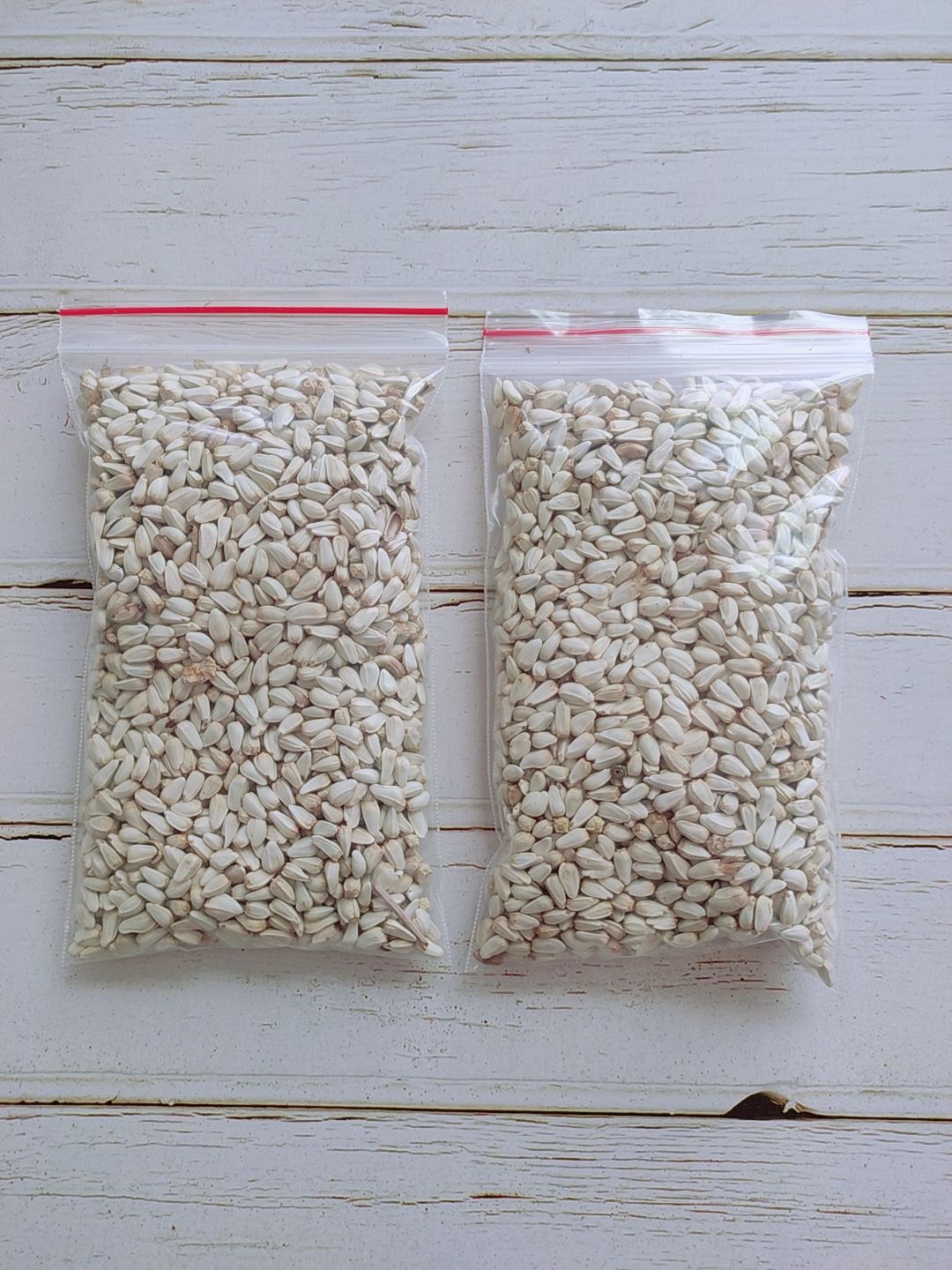 Hạt Kham - Thức ăn cho hamster, sóc, gặm nhấm,thú cưng (100GR)