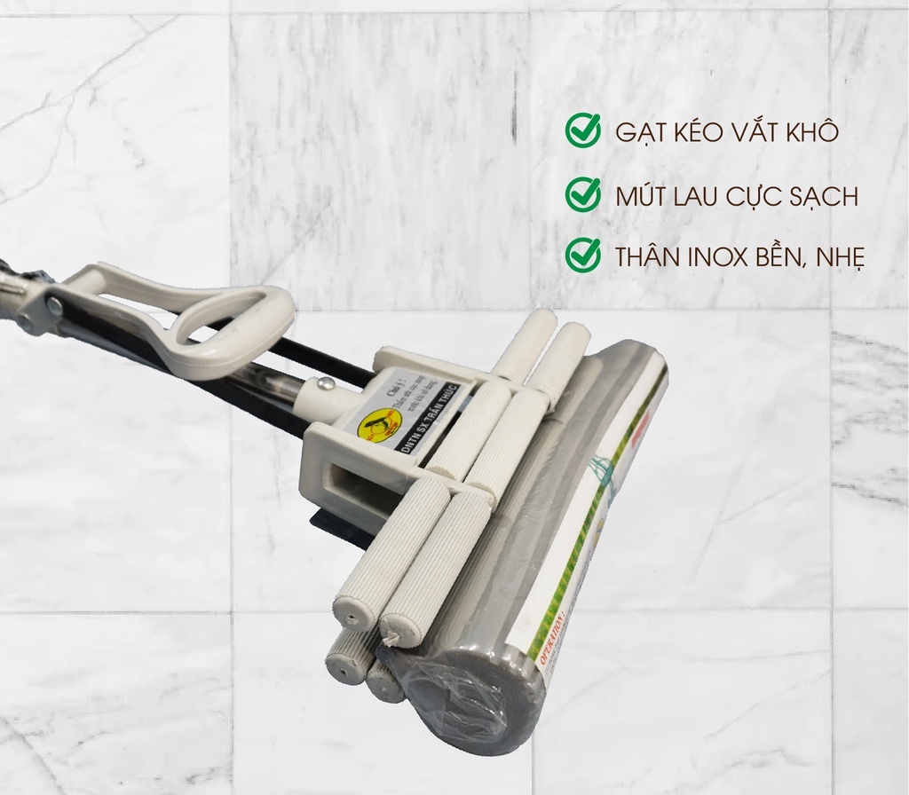 Cây Lau Nhà Trần Thức Mút Xám