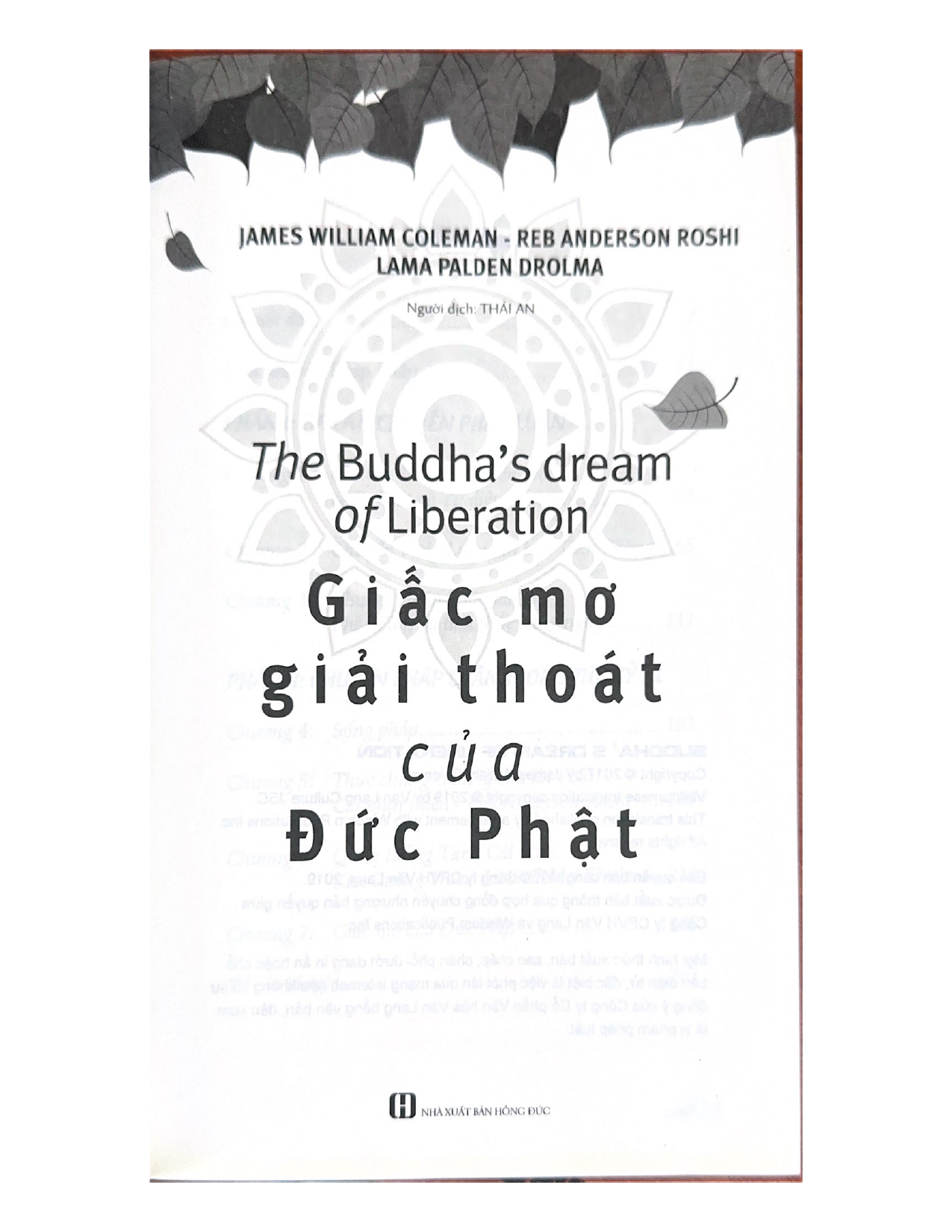 Sách - Giấc Mơ Giải Thoát Của Đức Phật-Vanlangbooks