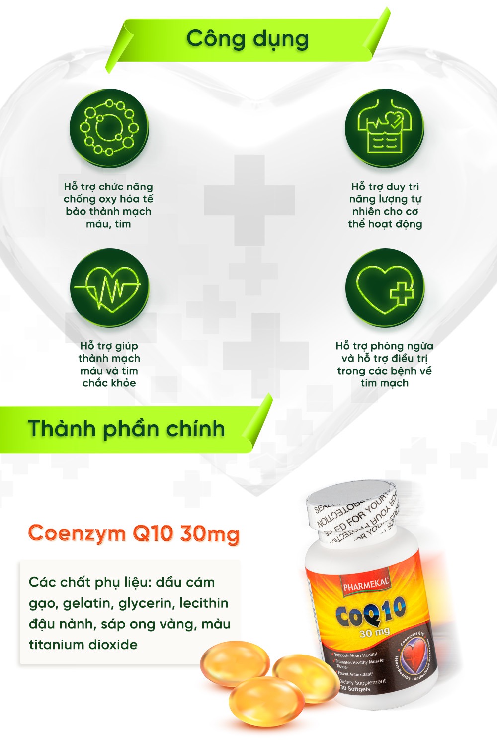 Combo Hỗ Trợ Tim Mạch, Omega 3 & CoQ10