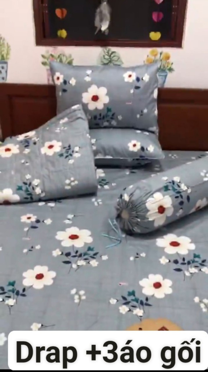 [HCM]Bộ Drap Cotton Thắng Lợi {4 MÓN} đủ size { chuẩn logo]