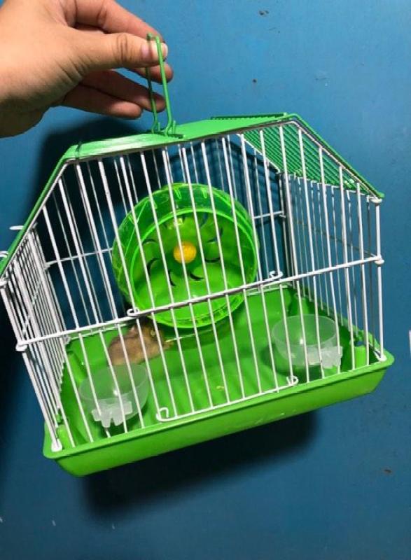 Lồng mini xách tay nhỏ gọn cho hamster,nhím,sóc,bọ ú ..
