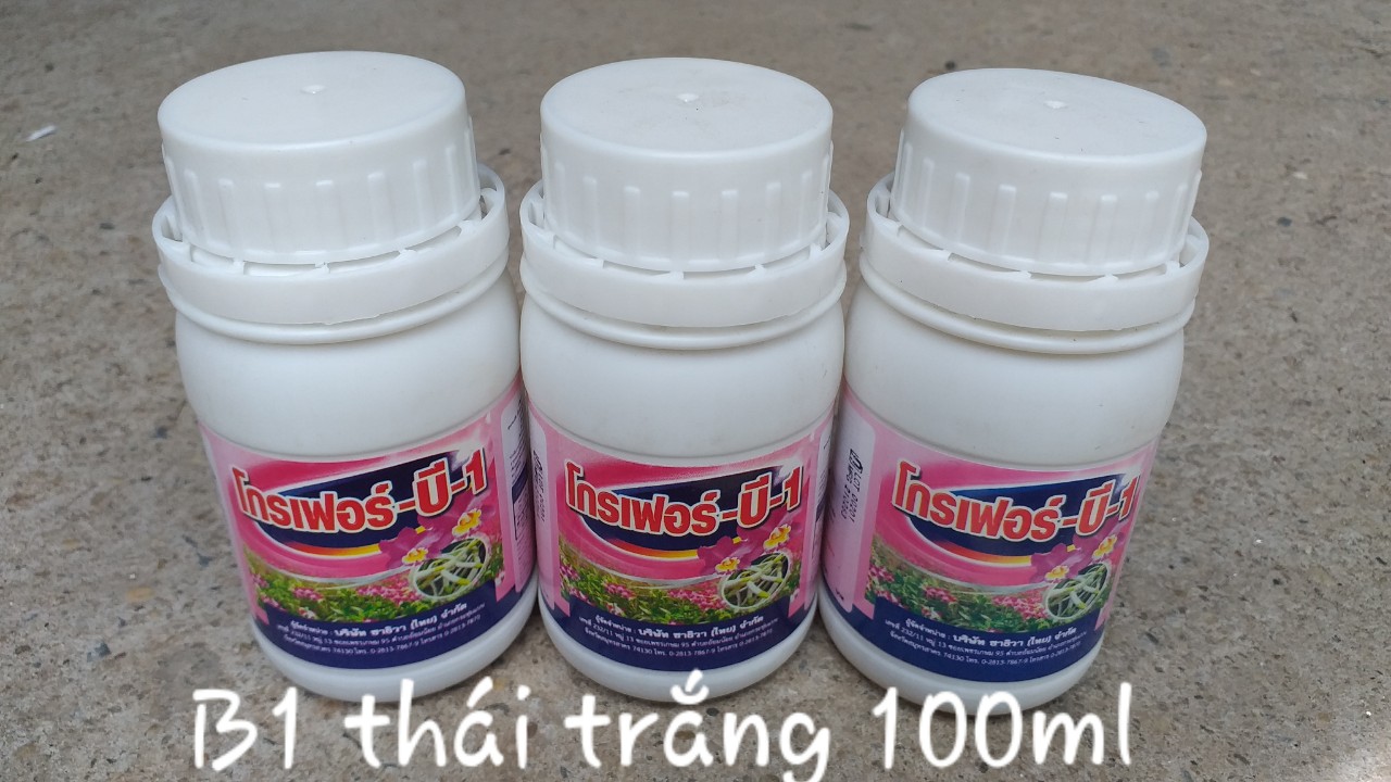 Phân bón lá b1 thái lan grofer b1 thái trắng chai 100ml, 500ml, 1 lít