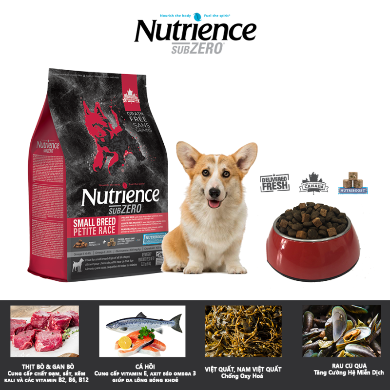 Thức Ăn Hạt Cho Chó Corgi Nutrience Subzero Thịt Bò, Thịt Cừu, Thịt Gà, Cá Hồi, Cá Trích, Cá Tuyết, Rau Củ, Trái Cây Tự Nhiên, Hộ Trợ Xương Sụn Cơ Khớp, Phát Triển Cơ Bắp, Da Lông Bóng Mượt, Hệ Tiêu Hóa, Hệ Miễn Dịch Khỏe Mạnh
