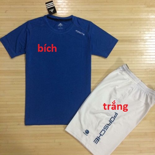 ÁO THUN POLO NAM TRẮNG VIỀN CỒ KIỂU