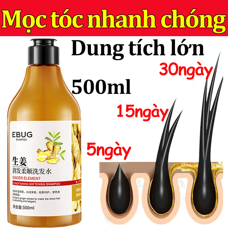 Fresh ginger shampoo herbal hair growth shampoo,. improve hair curly, dye and other damage, promote the development of cod hair