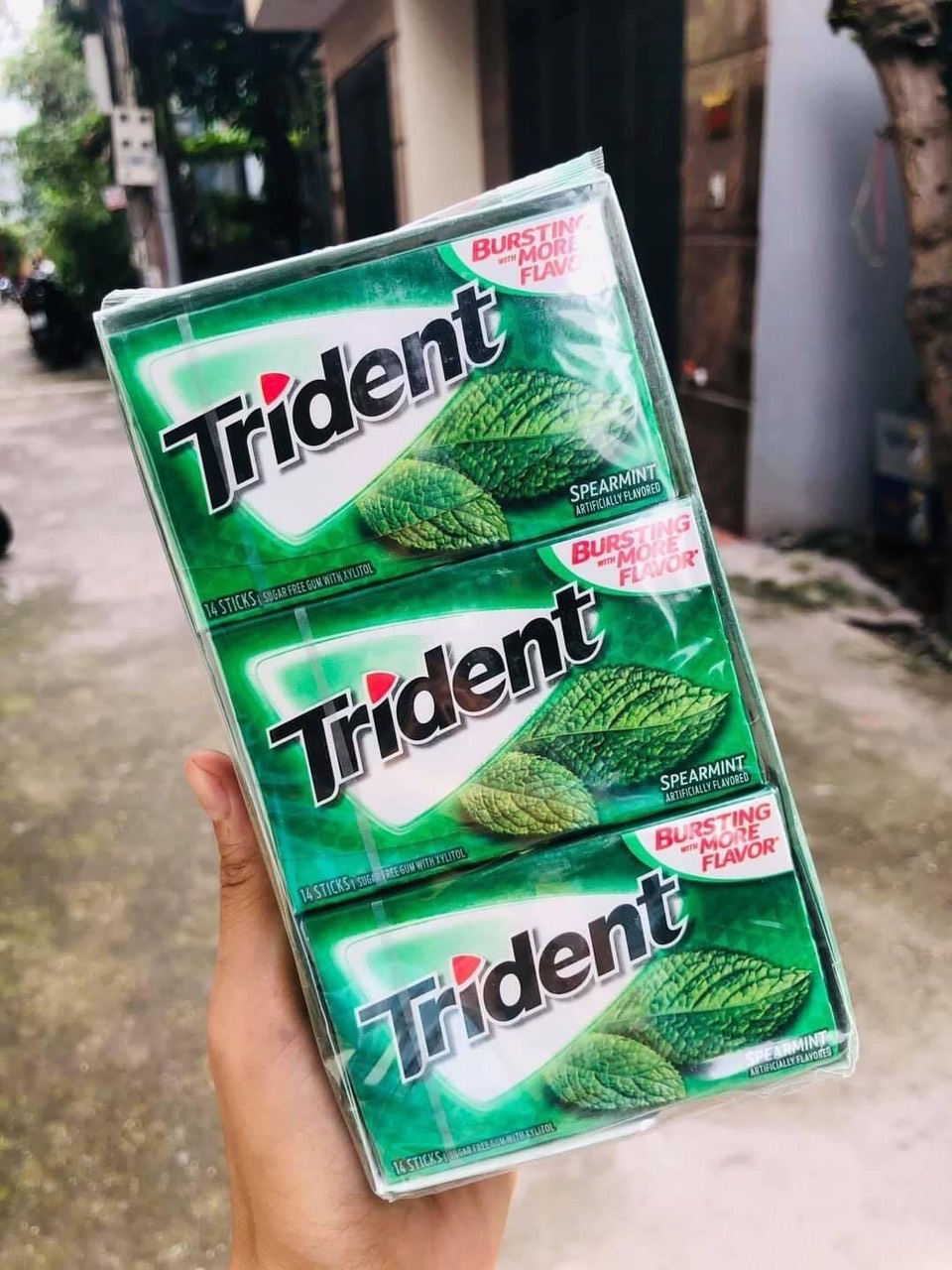 Kẹo Singum Trident Mỹ Hương Bạc Hà Sugar Free Gum