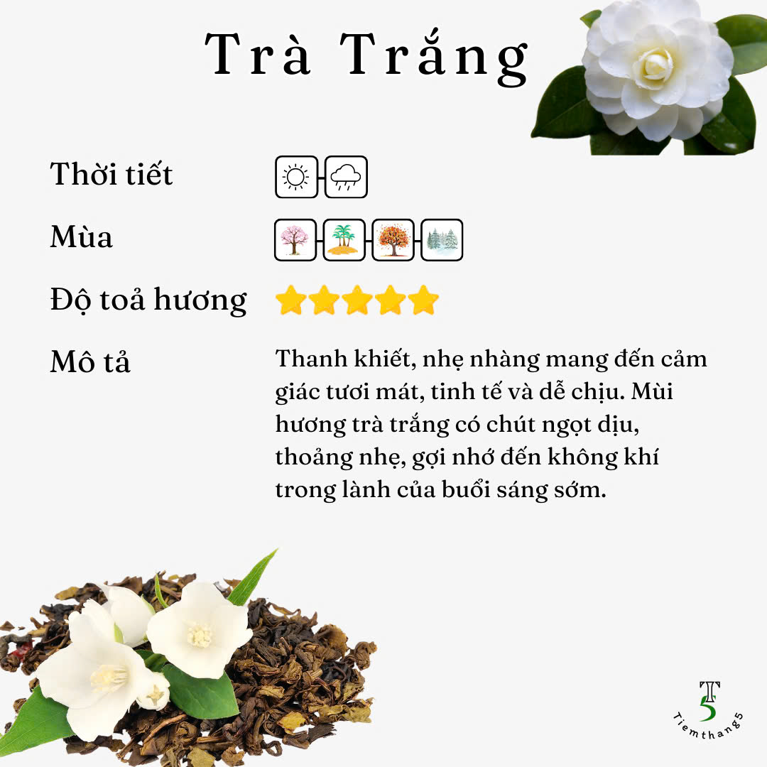 Sáp Treo Phòng Trang Trí Decor Thơm Phòng
