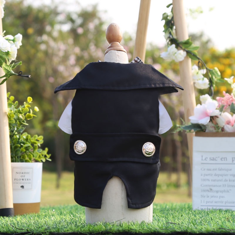 Áo vest và váy đám cưới dành cho chó mèo