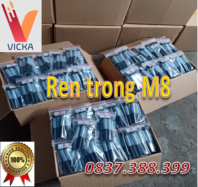 Chổi tẩy mối hàn Inox điện hóa (REN TRONG M8)