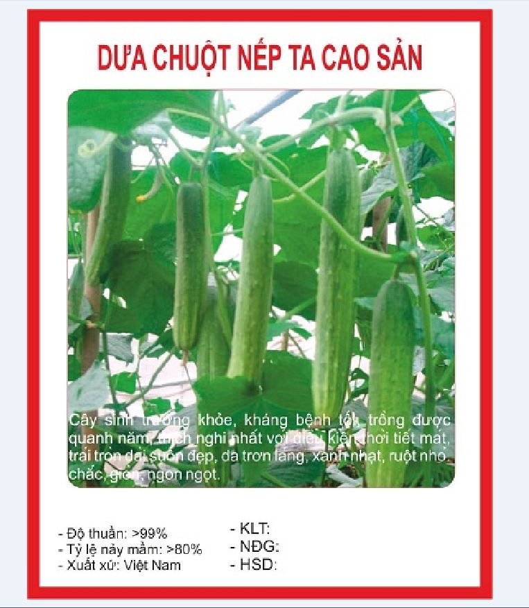 Combo 5 gói hạt giống dưa chuột mix loại – (TẶNG gói kích thích hỗ trợ hạt nảy mầm)