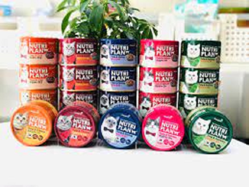 [ pate ] PATE CHO MÈO NUTRI PLAN HÀN QUỐC 160G
