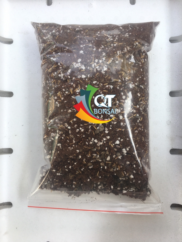 Đất trồng 1kg sen đá, xương rồng
