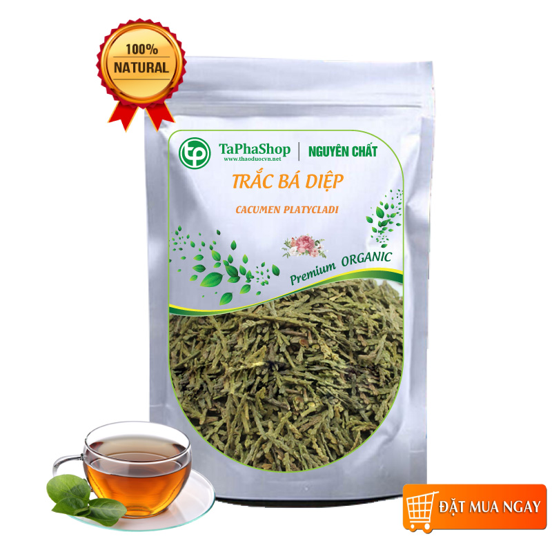 Trắc bá diệp sấy khô 100g - tấn phát