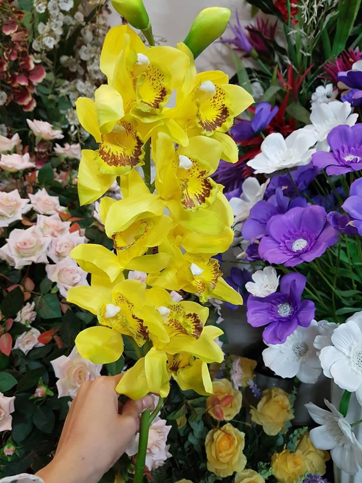 SET 10 CÀNH HOA ĐỊA LAN NHIỀU MÀU