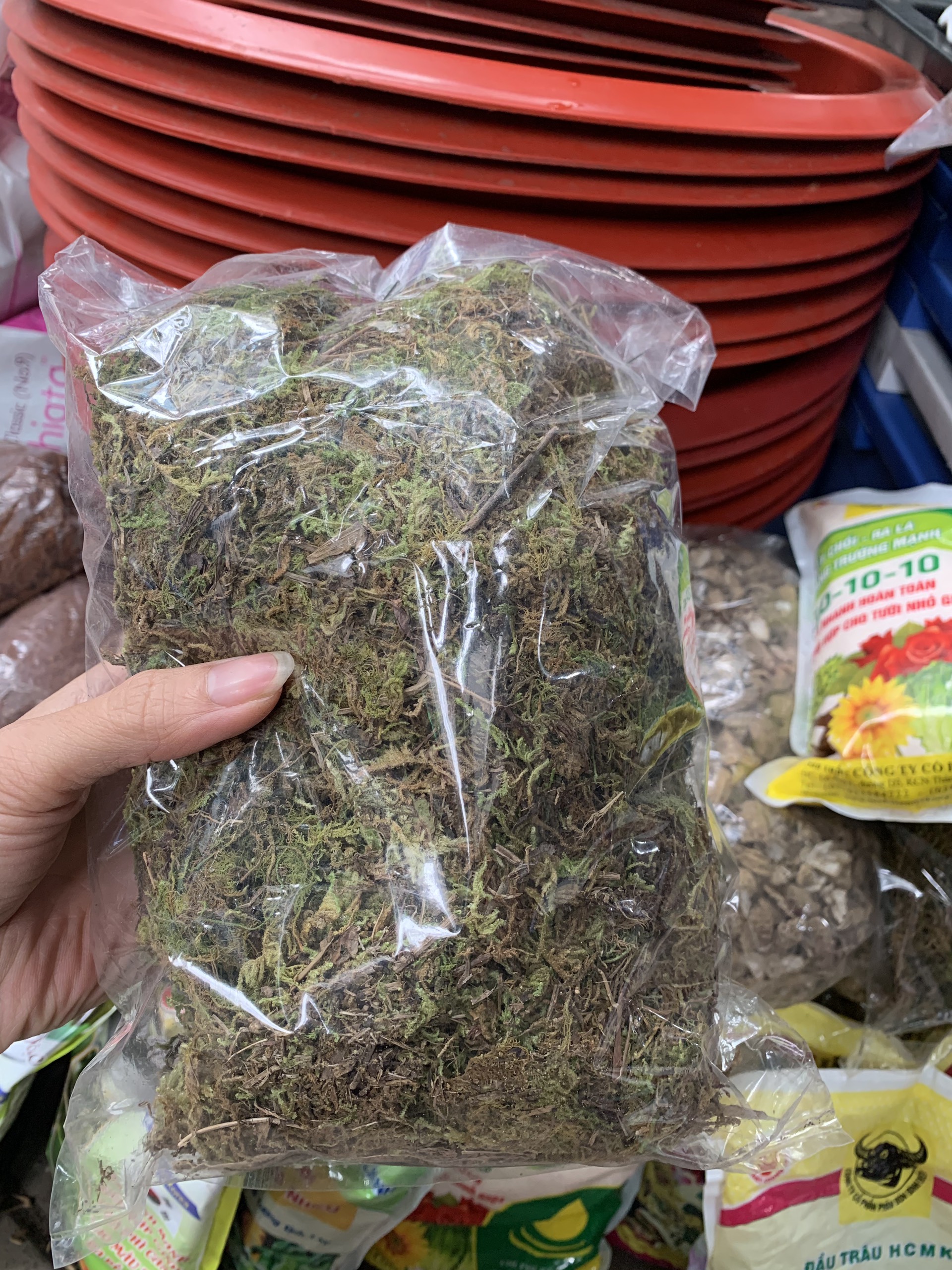 Rêu rừng trồng lan gói 100gr