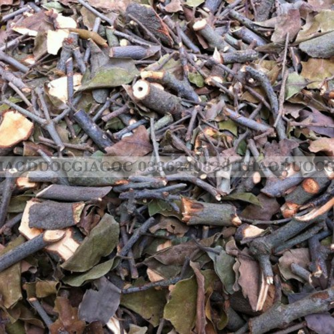 1kg cây tầm gửi gạo hà giang(khô thơm sạch)