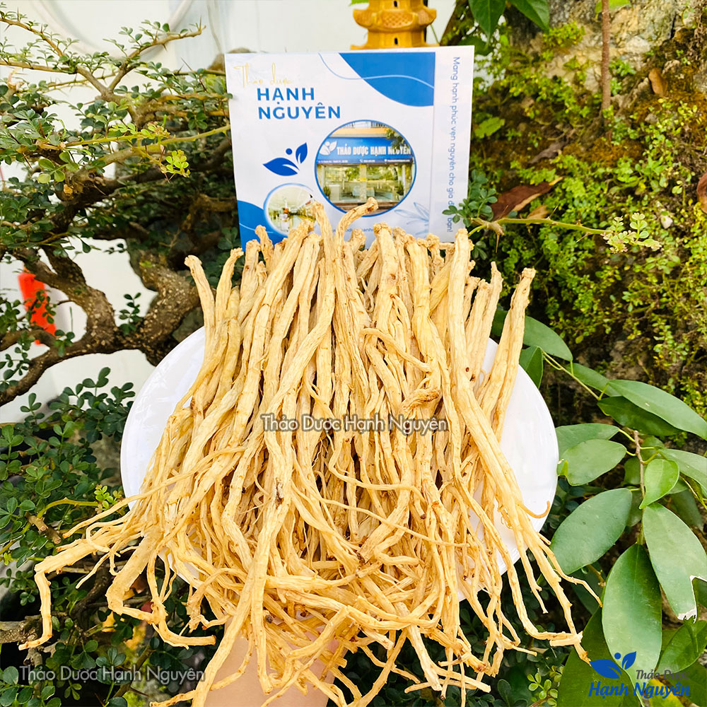 Đẳng sâm thượng hạng 1kg, sợi to, vàng, trà đảng sâm tăng cường sức khỏe, bổ khí huyết, tăng sức đề kháng - Thảo Dược Hạnh Nguyên