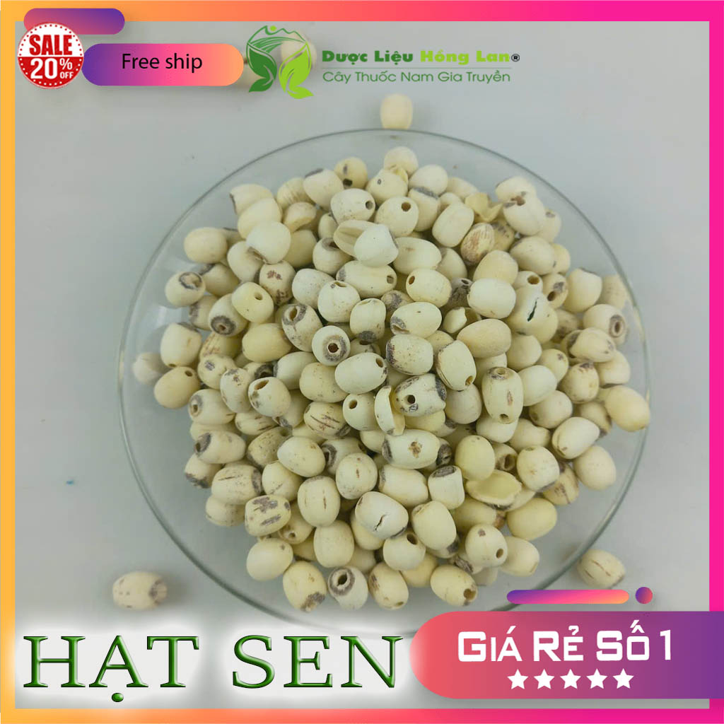 [FreeshipMAX] Hạt sen khô thượng hạng 500gr loại 1 (có hút chân không)
