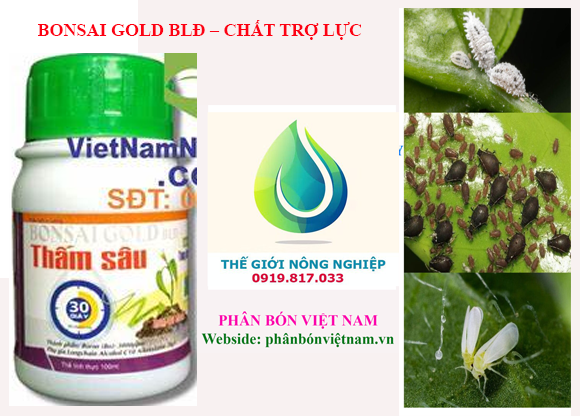 Bonsai gold dish-quality micro fertilizer with deep seepage 30s an Phat shallow company-bottle 100ml price 80K-Agori smoothly-Vietnam fertilizer