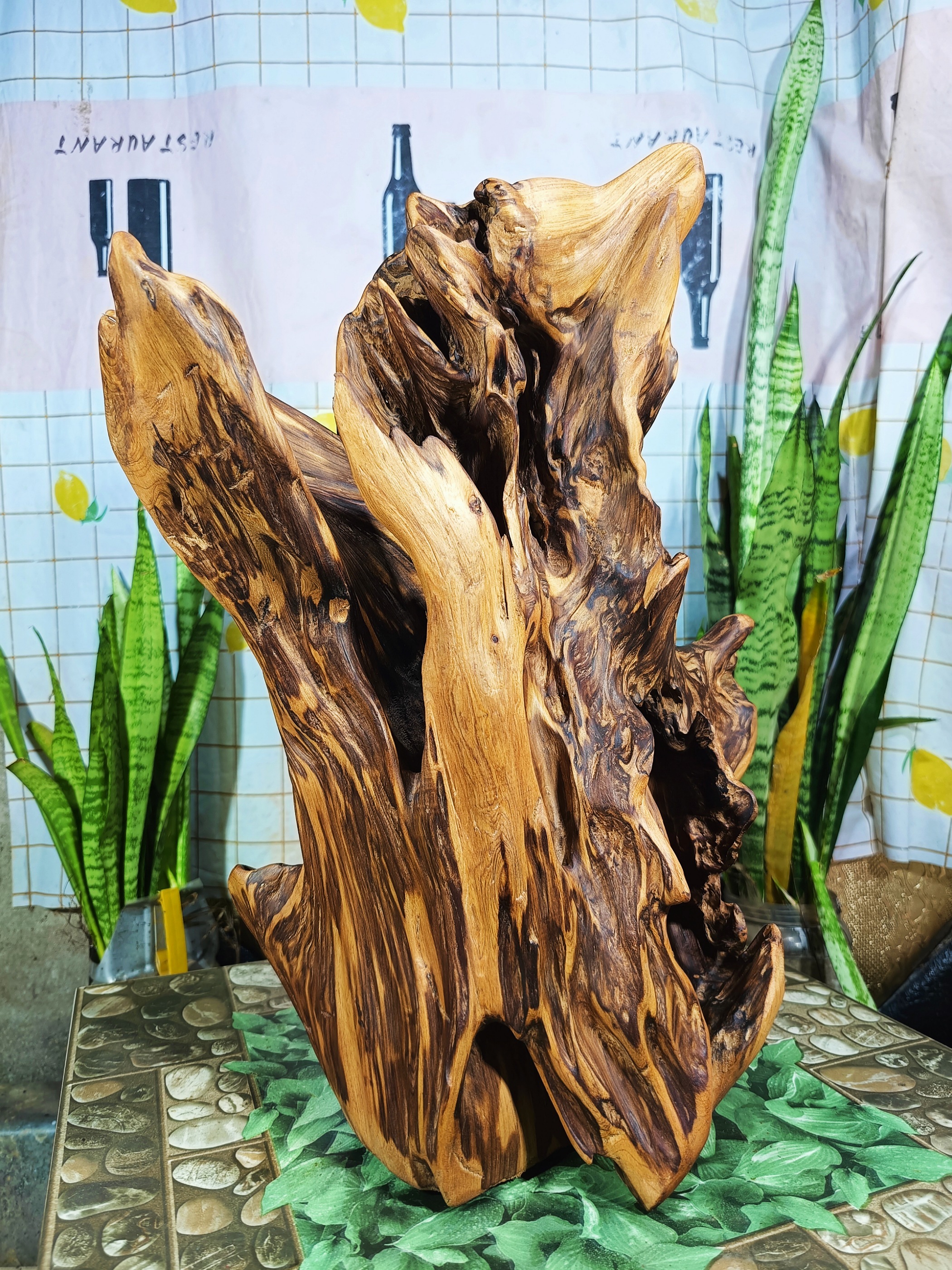 lũa gỗ thơm ngọc am đỏ hà giang