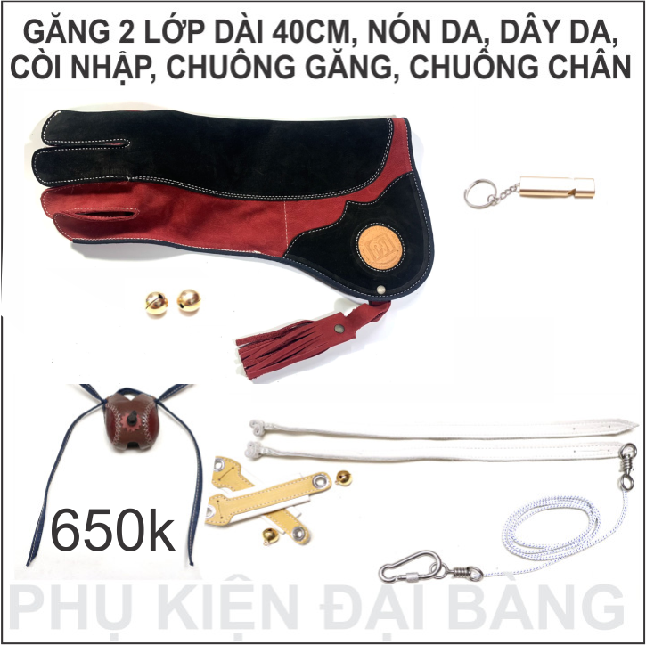 [HCM]PHỤ KIỆN CHIM ĐẠI BÀNG NÚI